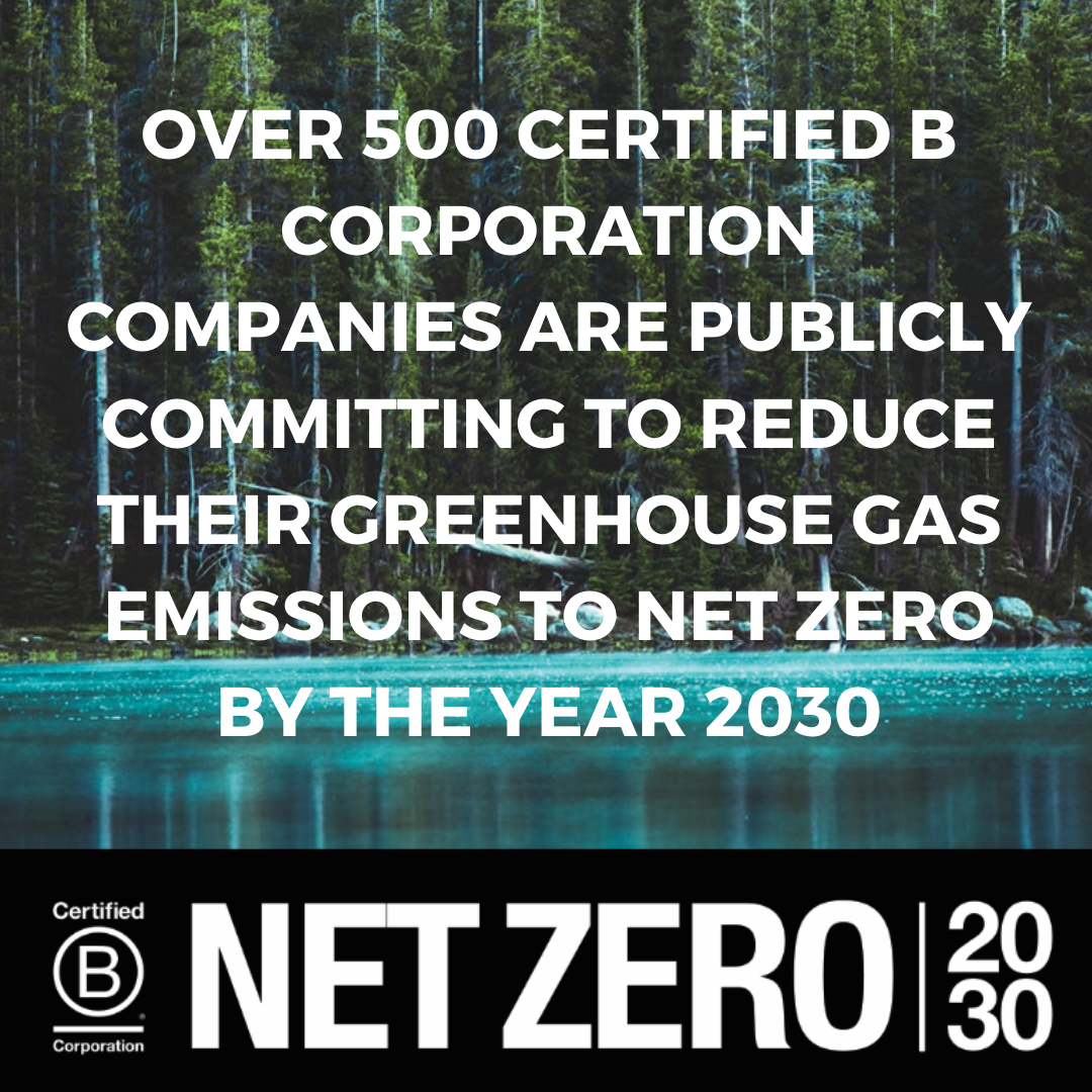 NET ZERO 2030. Un desafío Titánico.