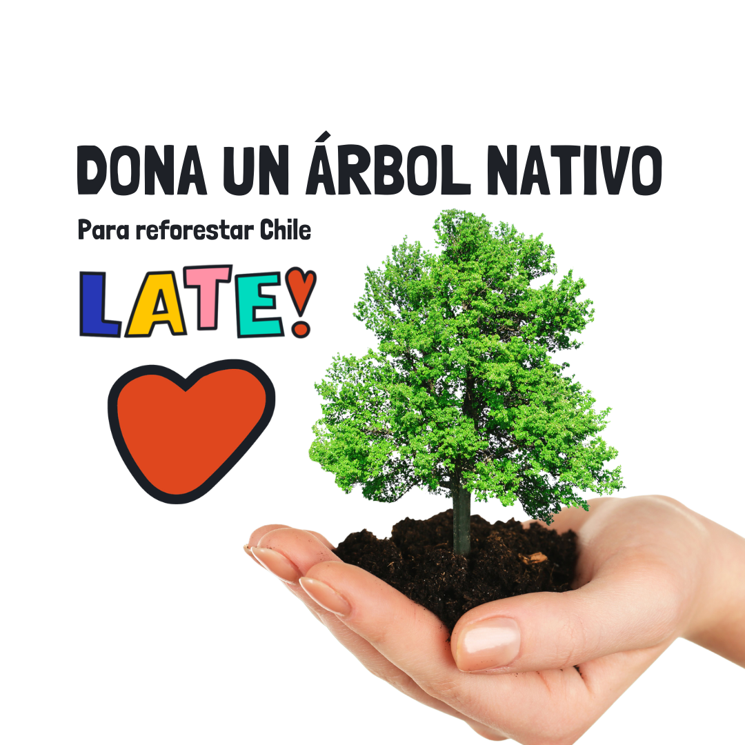 Dona un árbol para reforestar Chile