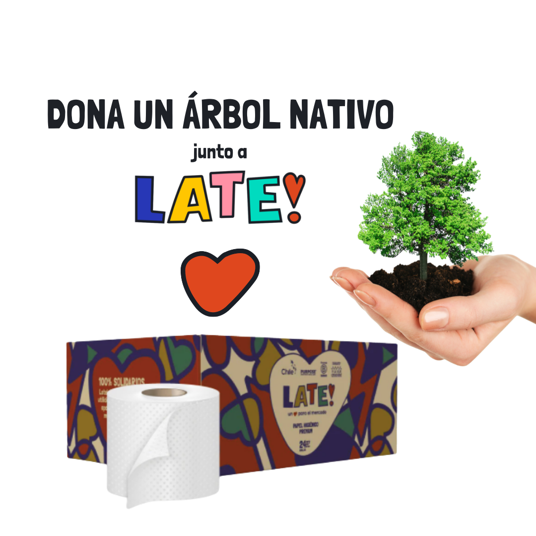Pack dona un arbol